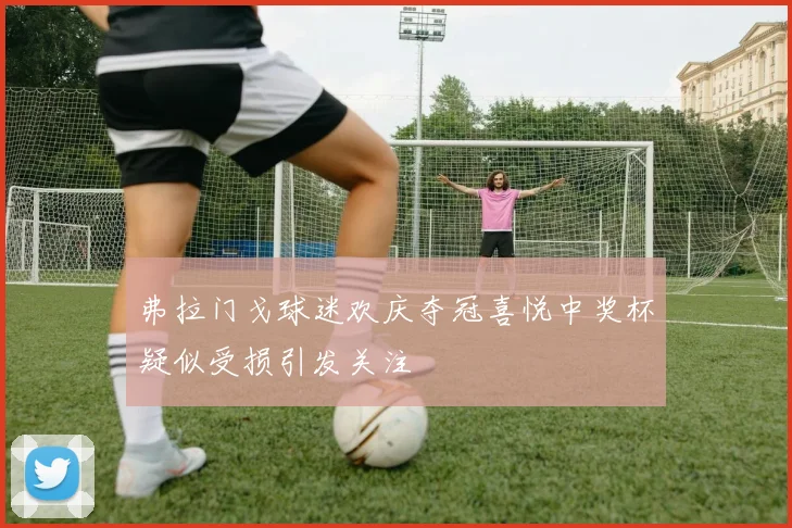 弗拉门戈球迷欢庆夺冠喜悦中奖杯疑似受损引发关注