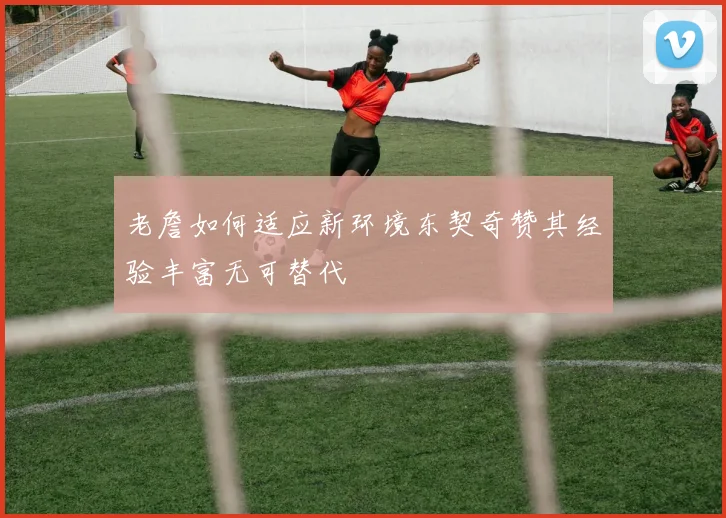 老詹如何适应新环境东契奇赞其经验丰富无可替代