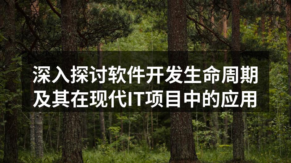 深入探讨软件开发生命周期及其在现代IT项