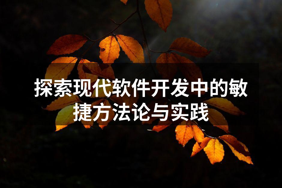 探索现代软件开发中的敏捷方法论与实践